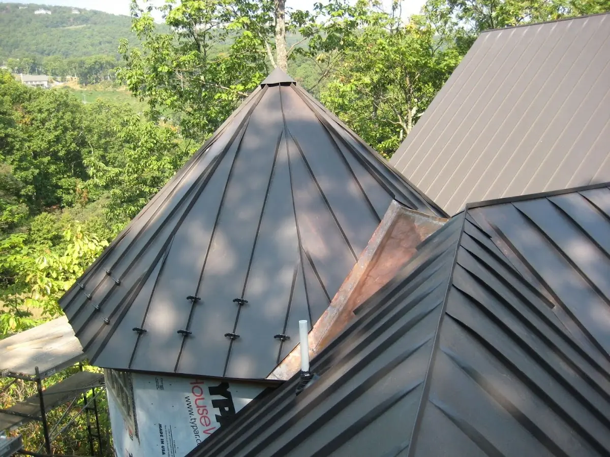 Professional Gutter Cleaning by Craftsman Roofing in Wilshire Park